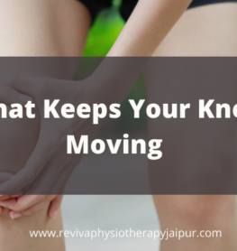 What Keeps Your Knee Moving