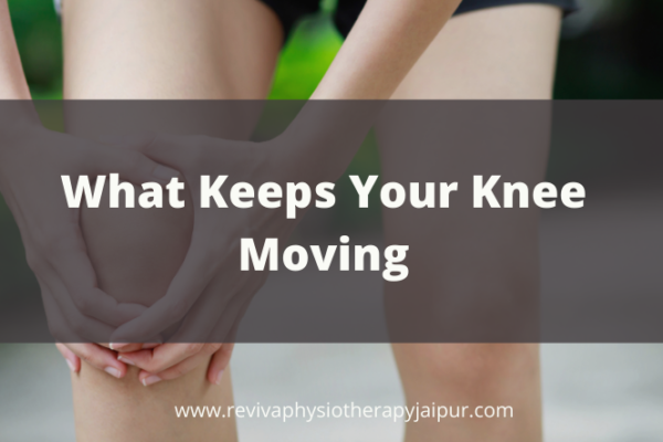 What Keeps Your Knee Moving