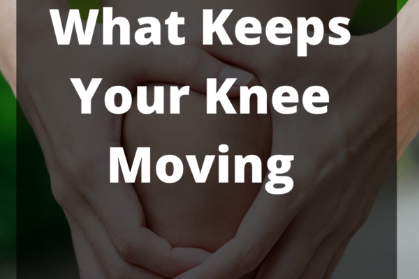 What Keeps Your Knee Moving